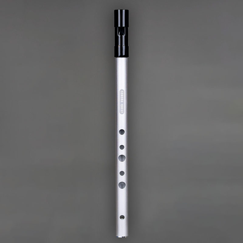 Peluit Penny 6 Lubang Kunci D, - Tin Whistle Flute ulasan dan harga