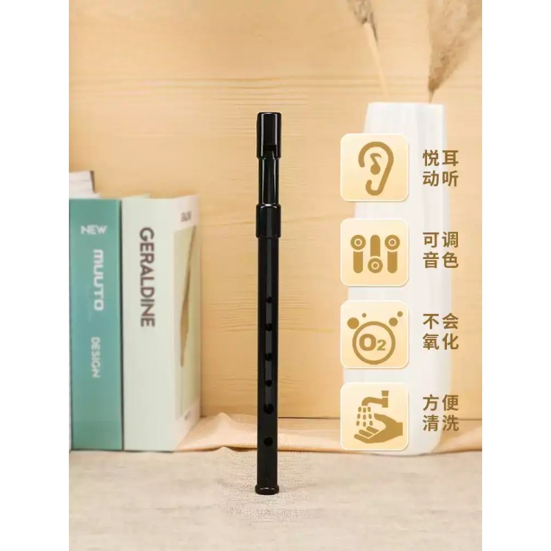 Seruling Rekorder Enam Lubang  - Tin Whistle Flute ulasan dan harga