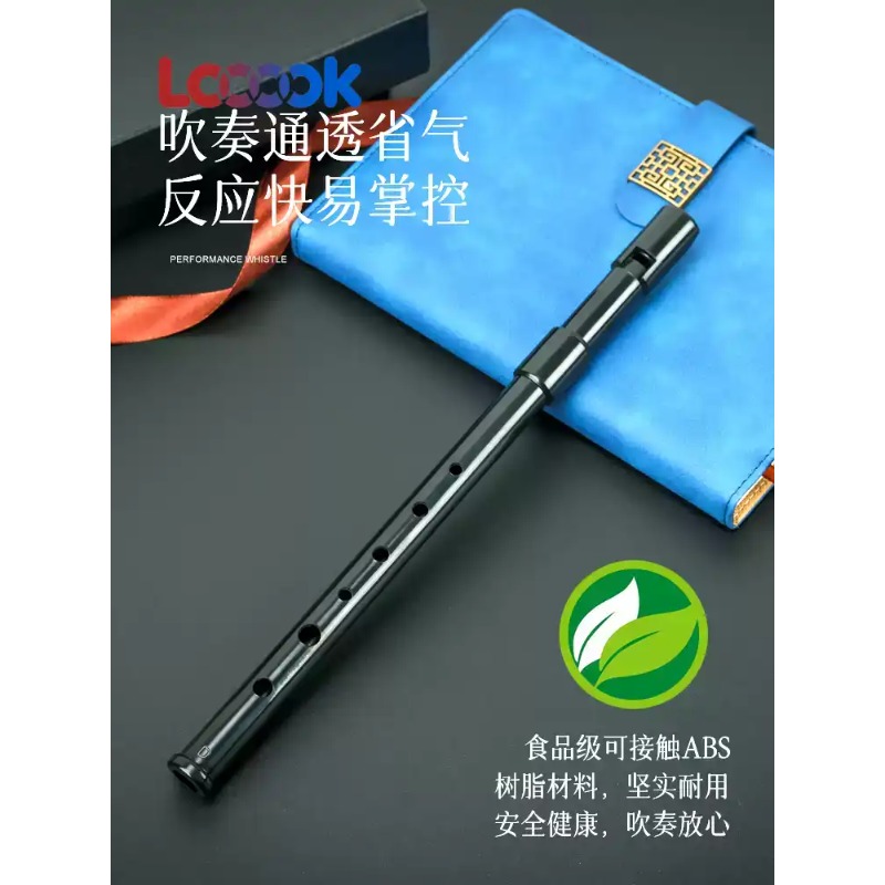 Seruling Rekorder Enam Lubang  - Tin Whistle Flute ulasan dan harga