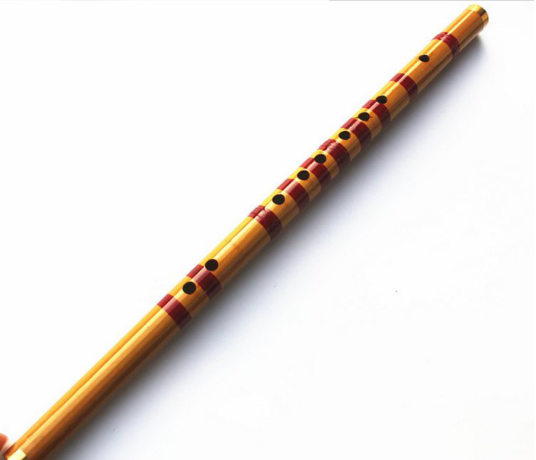 Anak-anak Belajar Dirancang de - Musical Instrument Piccolo ulasan dan harga
