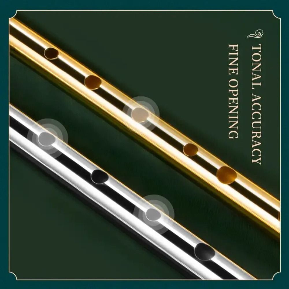 Seruling Tiup Irlandia 6 Luban - Tin Whistle Flute ulasan dan harga