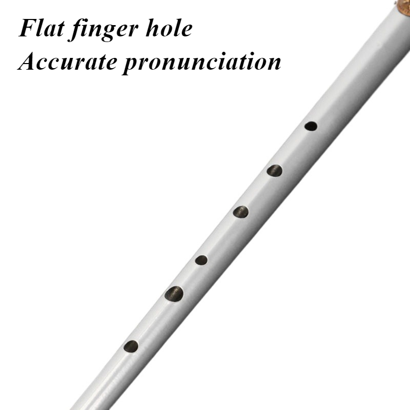 Seruling Timah D/C untuk Pelaj - Tin Whistle Flute ulasan dan harga